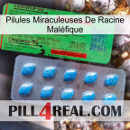 Pilules Miraculeuses De Racine Maléfique new03